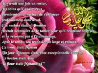 Fleur d'islam.jpg